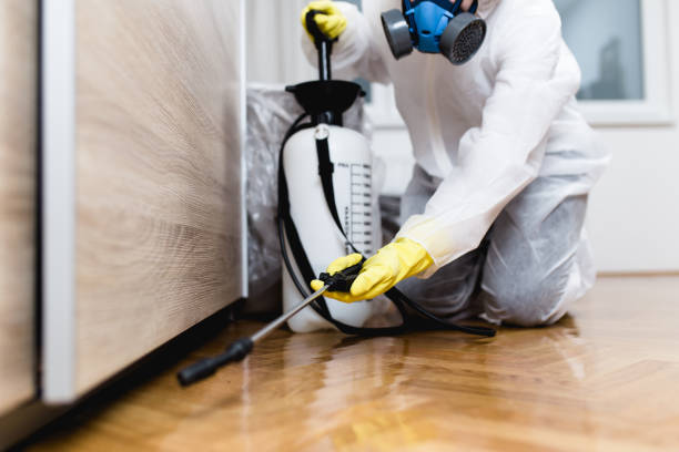 Best Pest Removal Services  in Swansea, IL