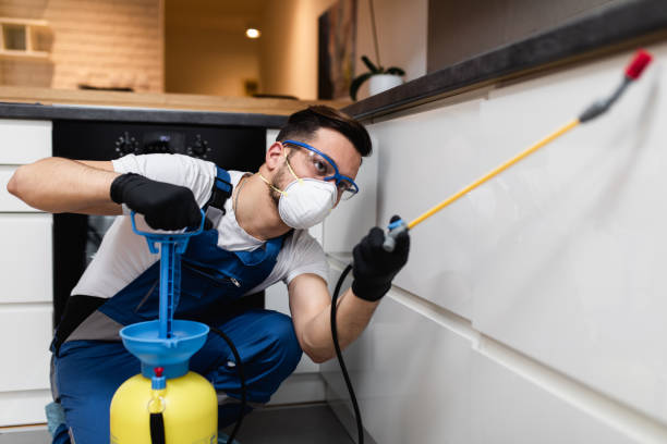 Best Exterminator Services  in Swansea, IL