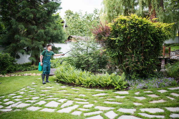 Best Best Pest Control Companies  in Swansea, IL