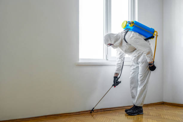 Professional Pest Control in Swansea, IL