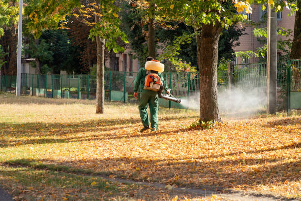 Best Affordable Pest Control Services  in Swansea, IL