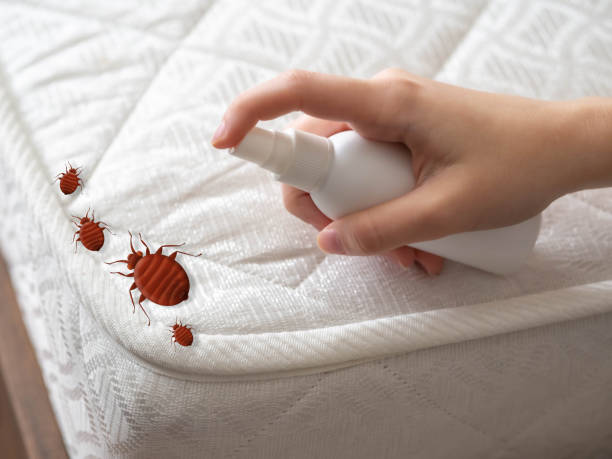 Best Pest Prevention Services  in Swansea, IL